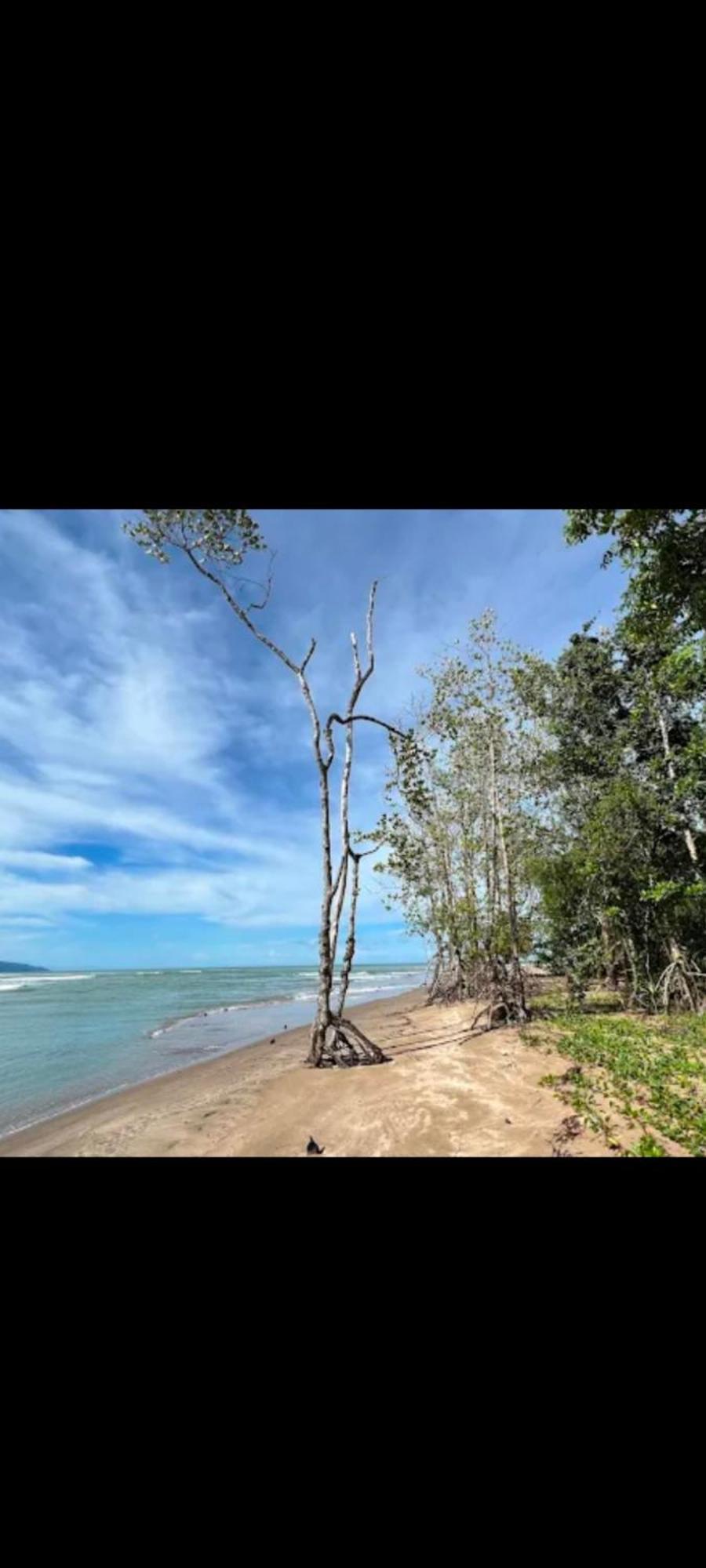 فيلا The Mangrove Sematan المظهر الخارجي الصورة